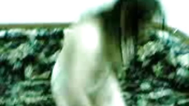 استمناء برای عکسهای سکسی باحال گربه نوشید.