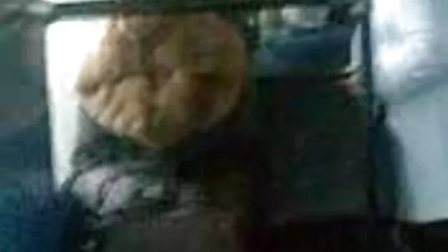 دختر با نوازنده سرگرم کننده است. عکسهای سکسی سوناکشی سینها