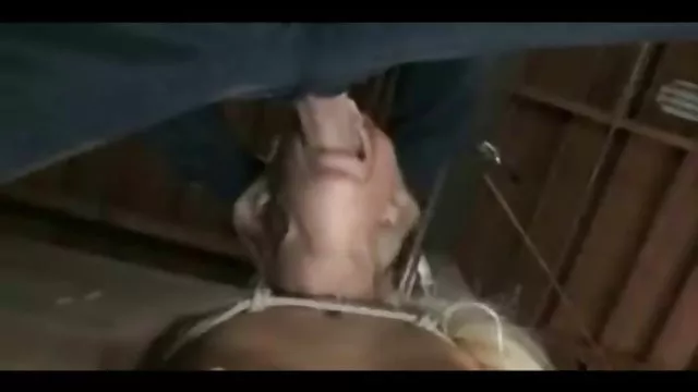 استپاد گربه های برهنه عکسهای سکسی تلگرام را در بیدمشک farts می کند.