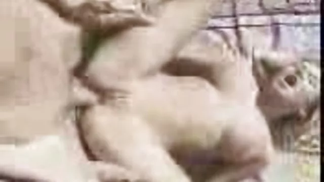مادربزرگ دوست عکس حشری کننده دارد با جوان لعنتی کند.